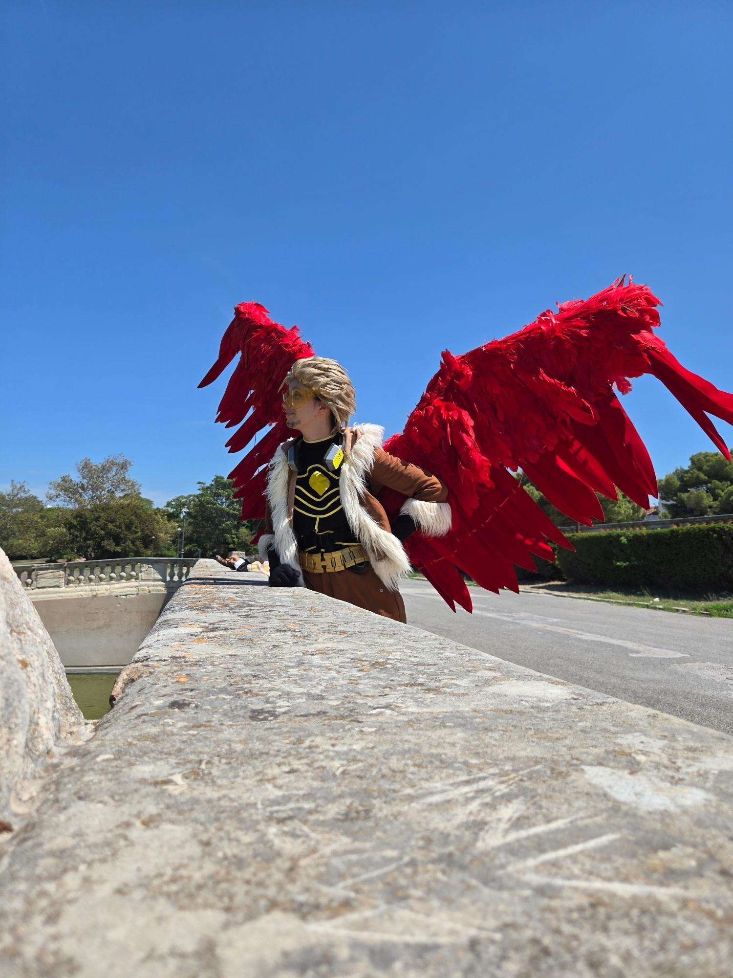 Hawks, photo 30