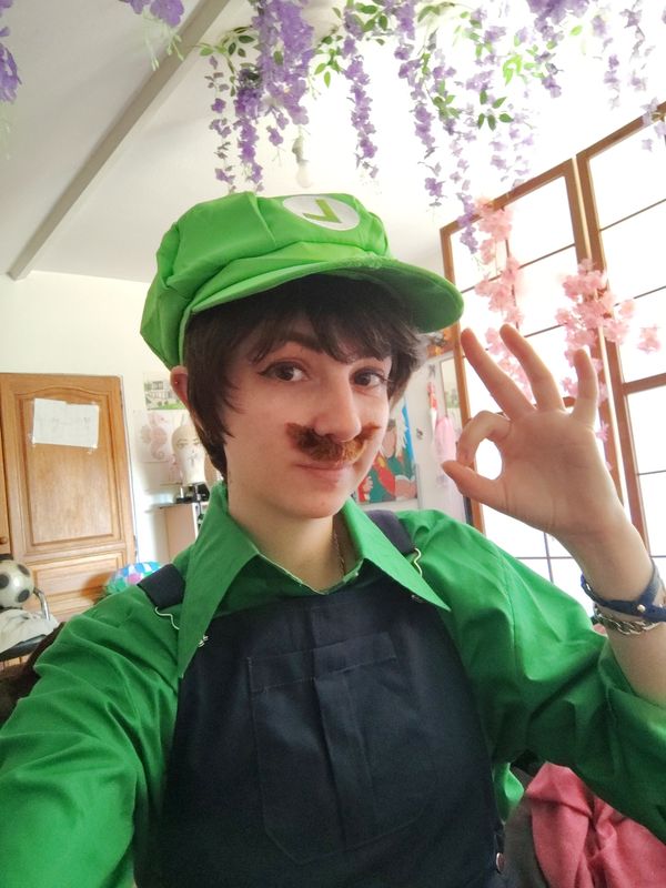 Mimikiwi.cos – Luigi