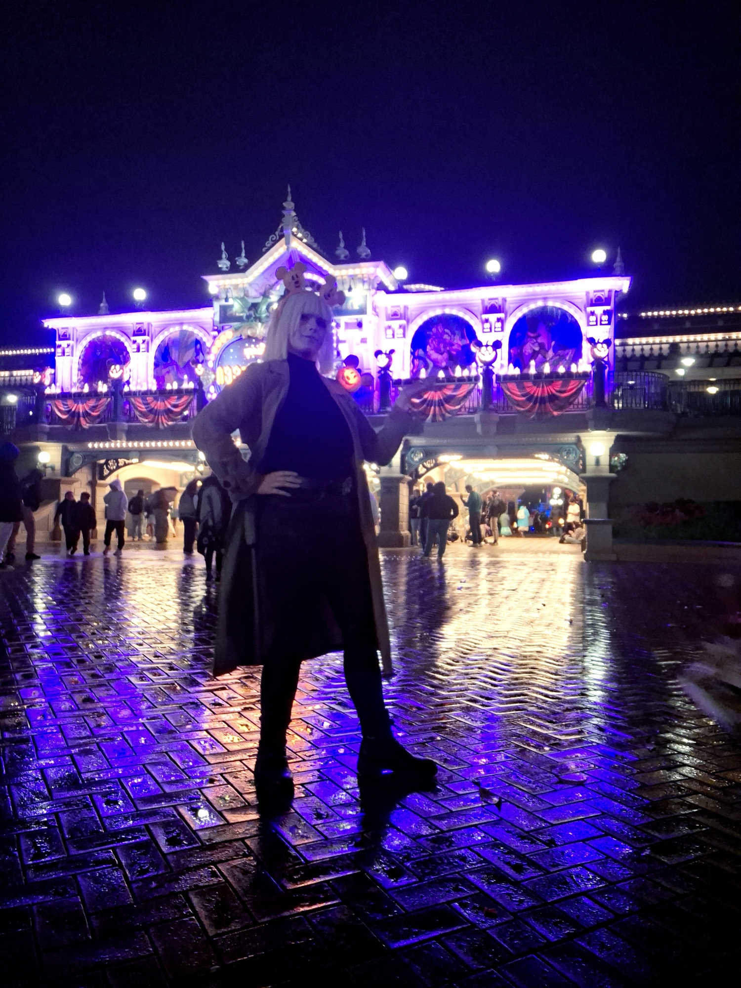 Rook at disneyland, photo 12