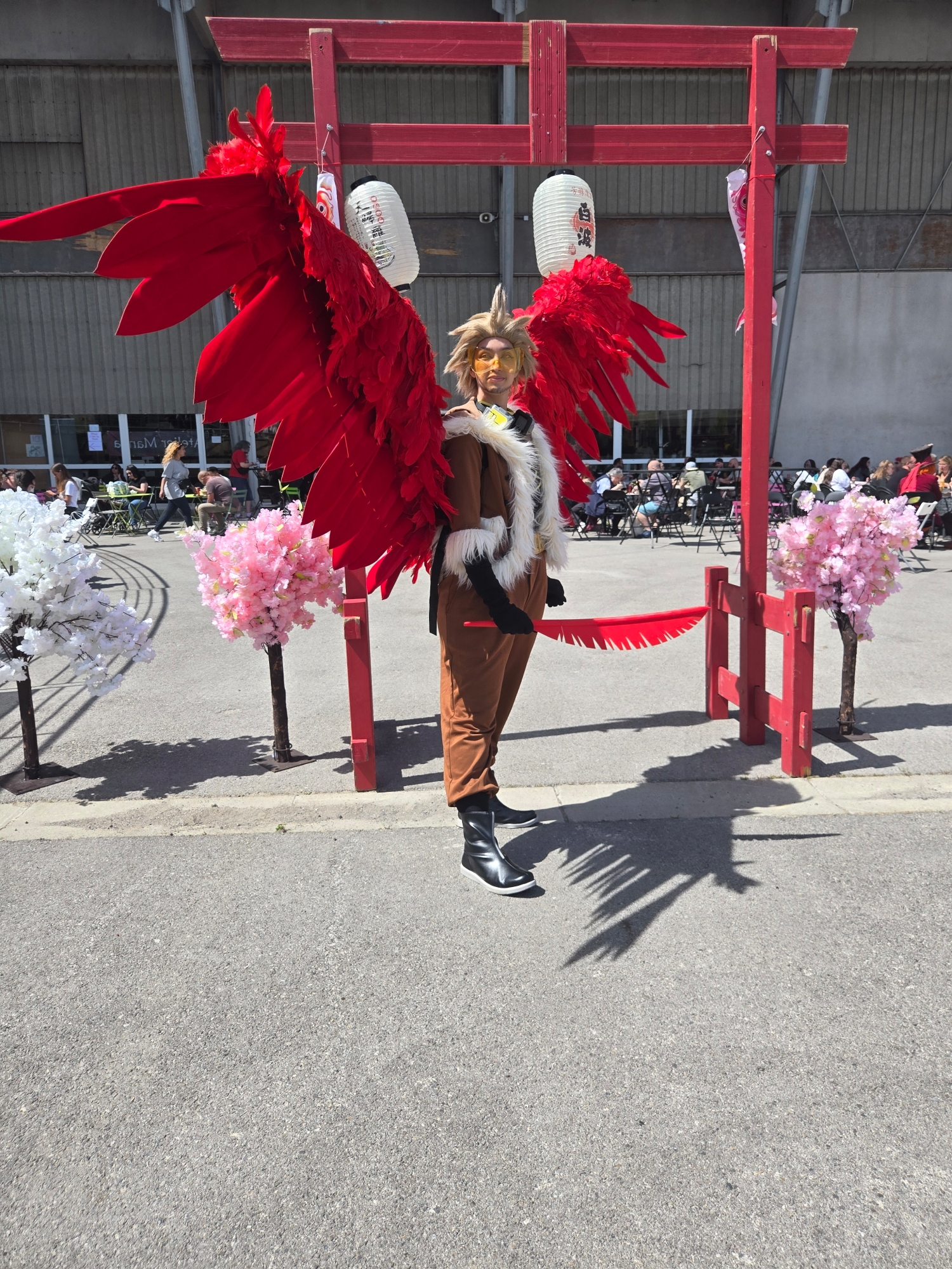 Hawks — photo 76