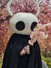 Hollow knight preview 2