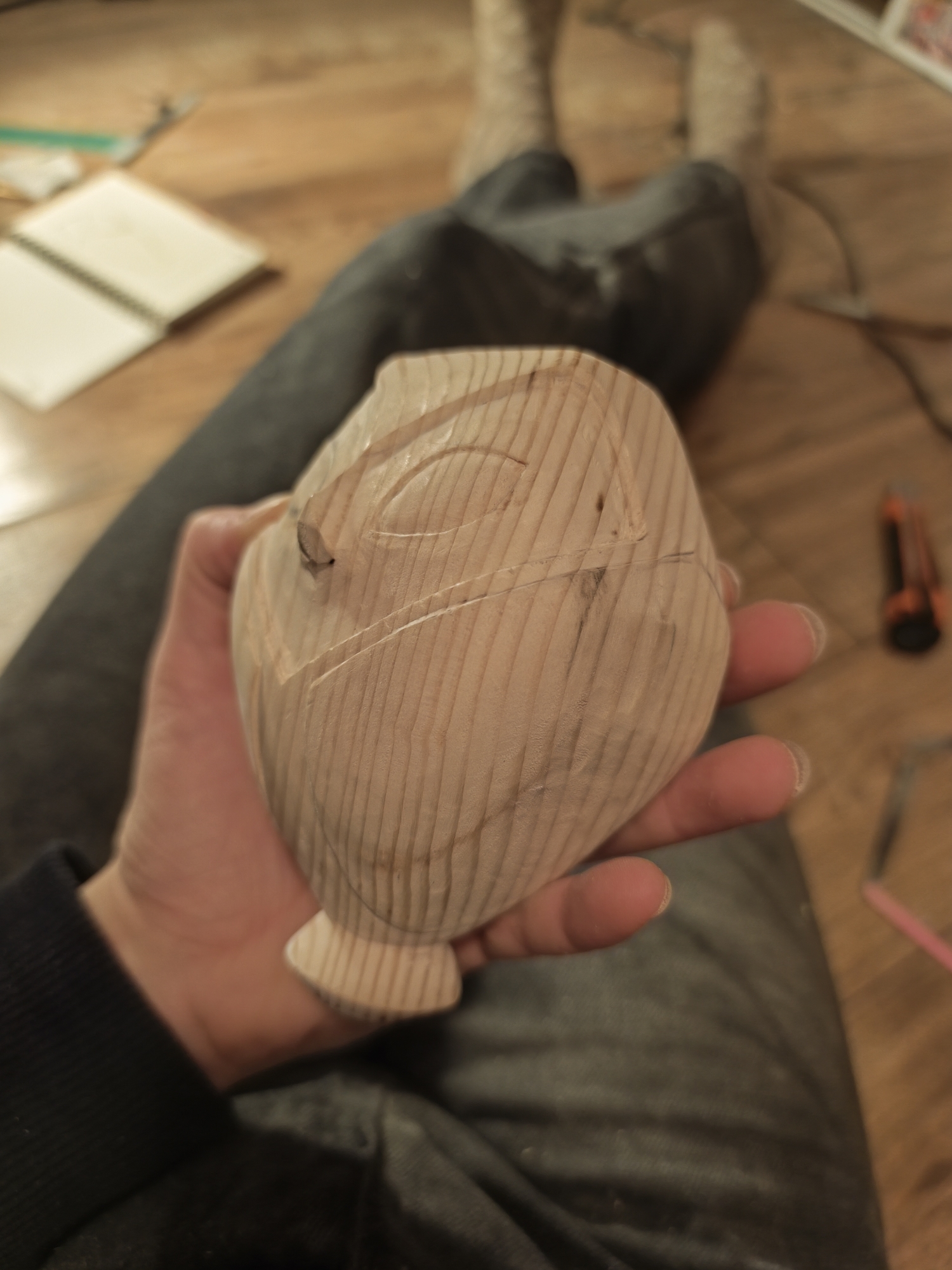 Préparation Edalyn - Photo 13