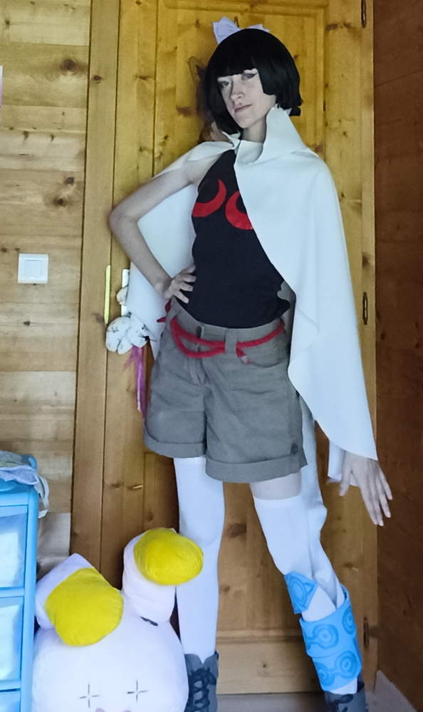 Amaryllis (costest) — photo 6
