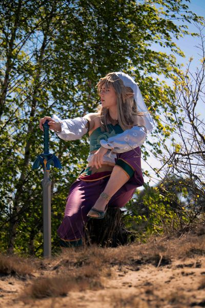 Calico_moss - Gerudo Link