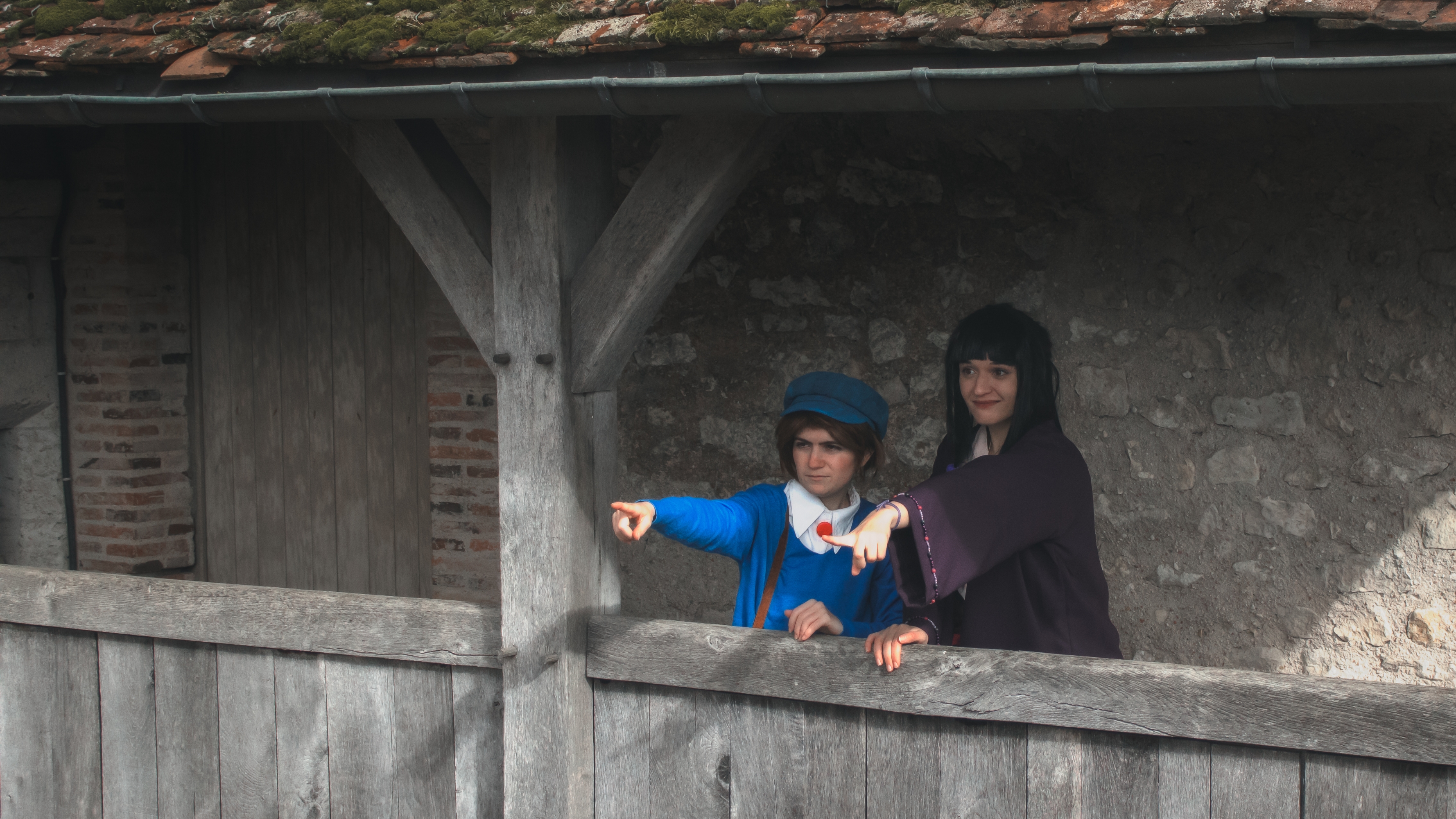 AceAttorney x Layton — photo 5