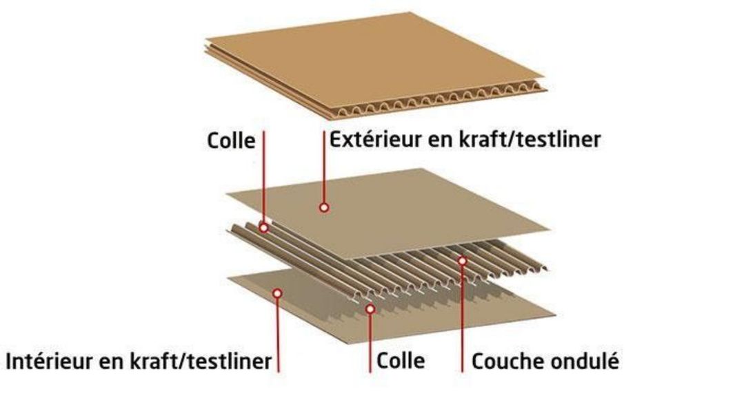 Cardboard: a broad question — illustration 1