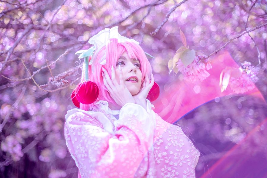 Himea_ - Sakura Miku -Hanami-