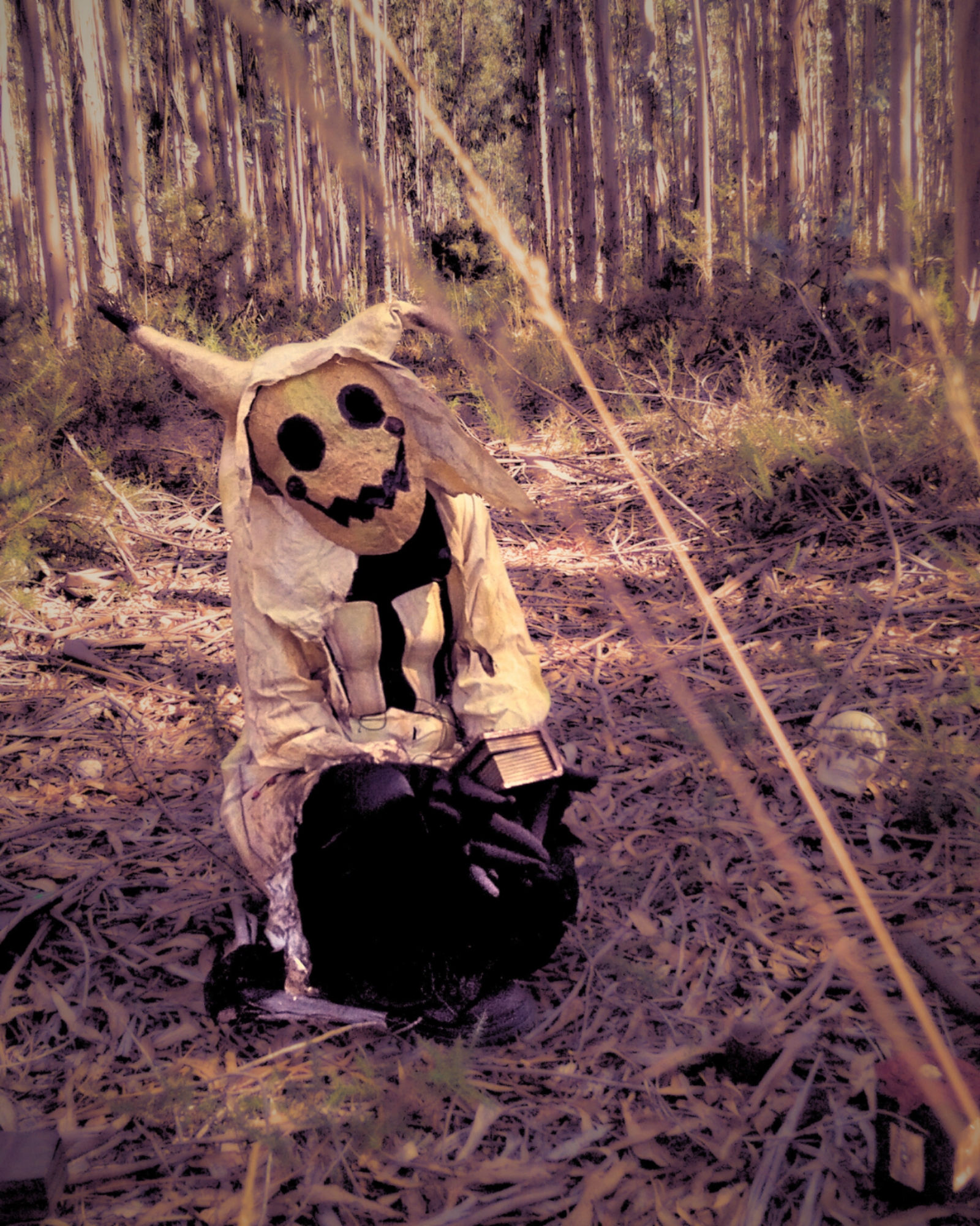 Mimikyu — photo 11