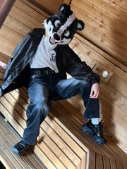 Silver preview 2