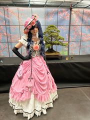 lady ciel 🎀 preview 2