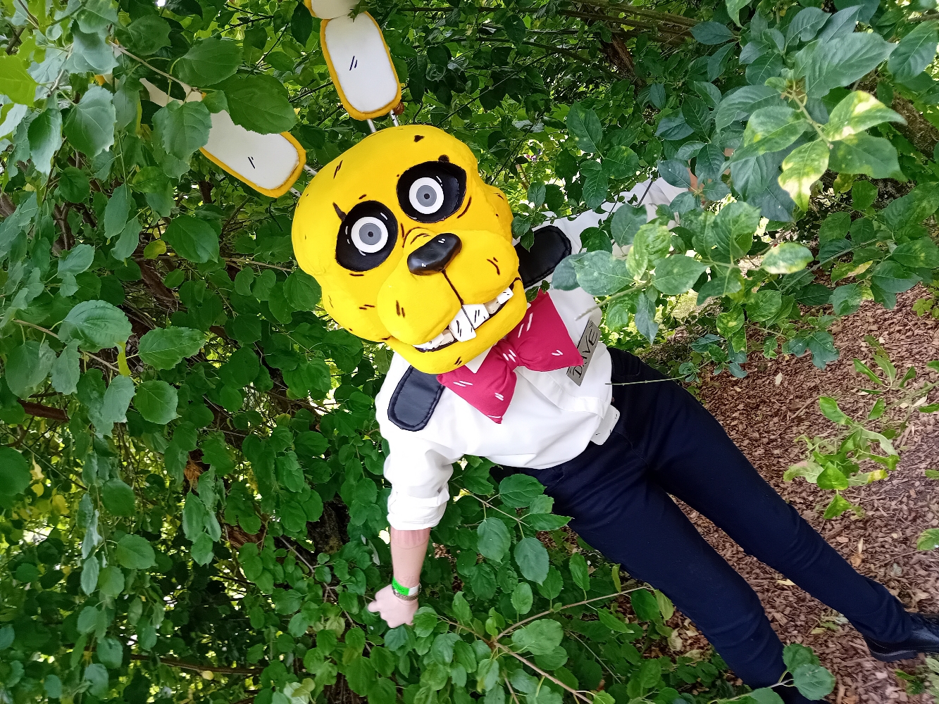 Orchies Festival - Photo 10