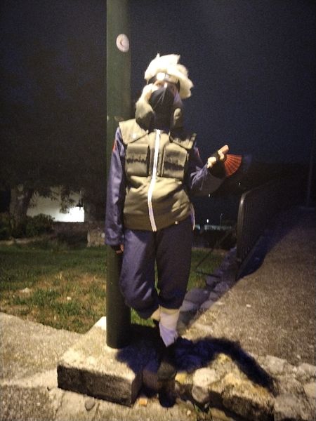 Mimikiwi.cos - Kakashi Hatake 
