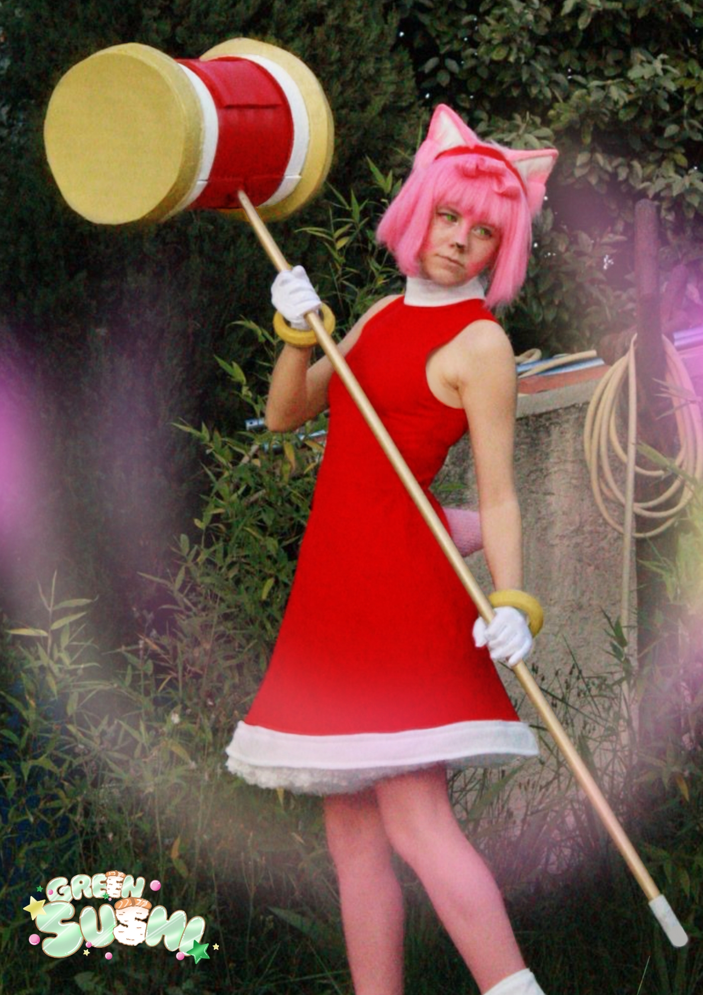 Amy rose — photo 5