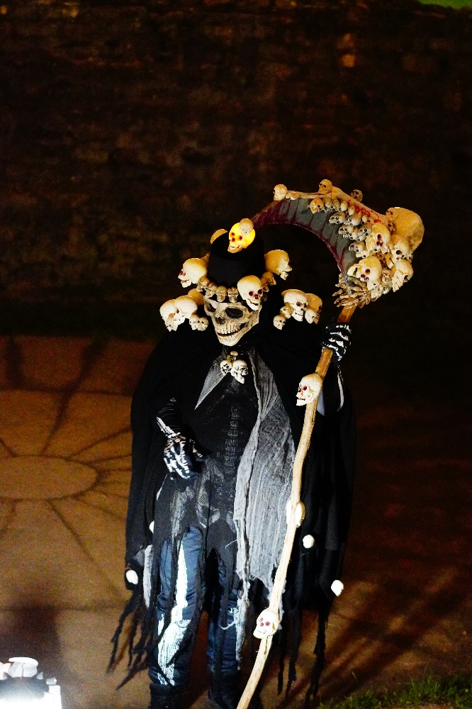 Grande faucheuse  - Photo 4