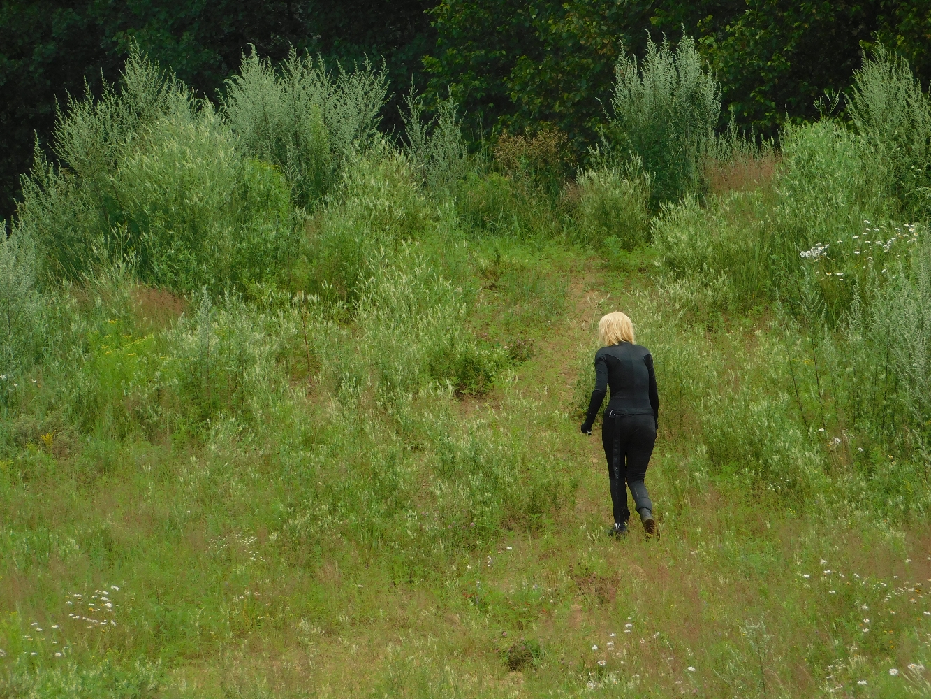Chat Noir — photo 6