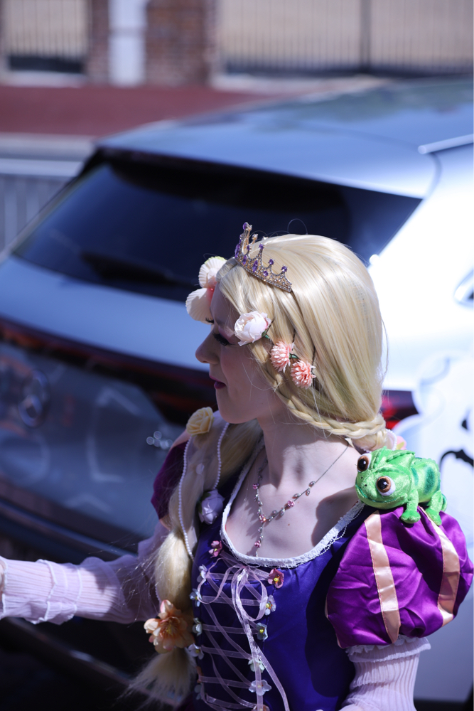 Princesse — photo 10