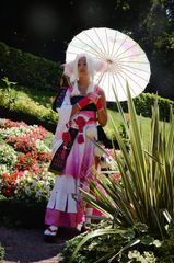 HakuroSakura onmyoji preview 2