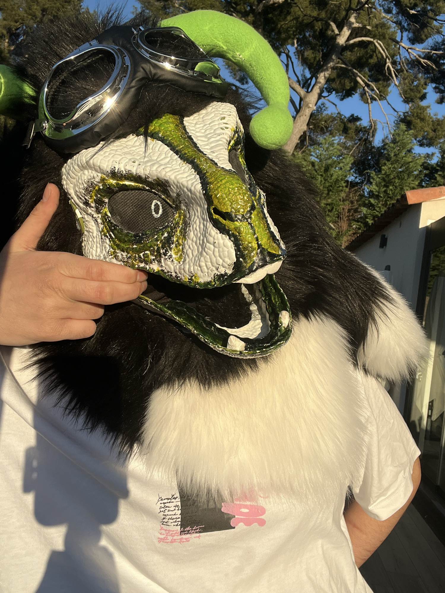 Toxi — photo 6