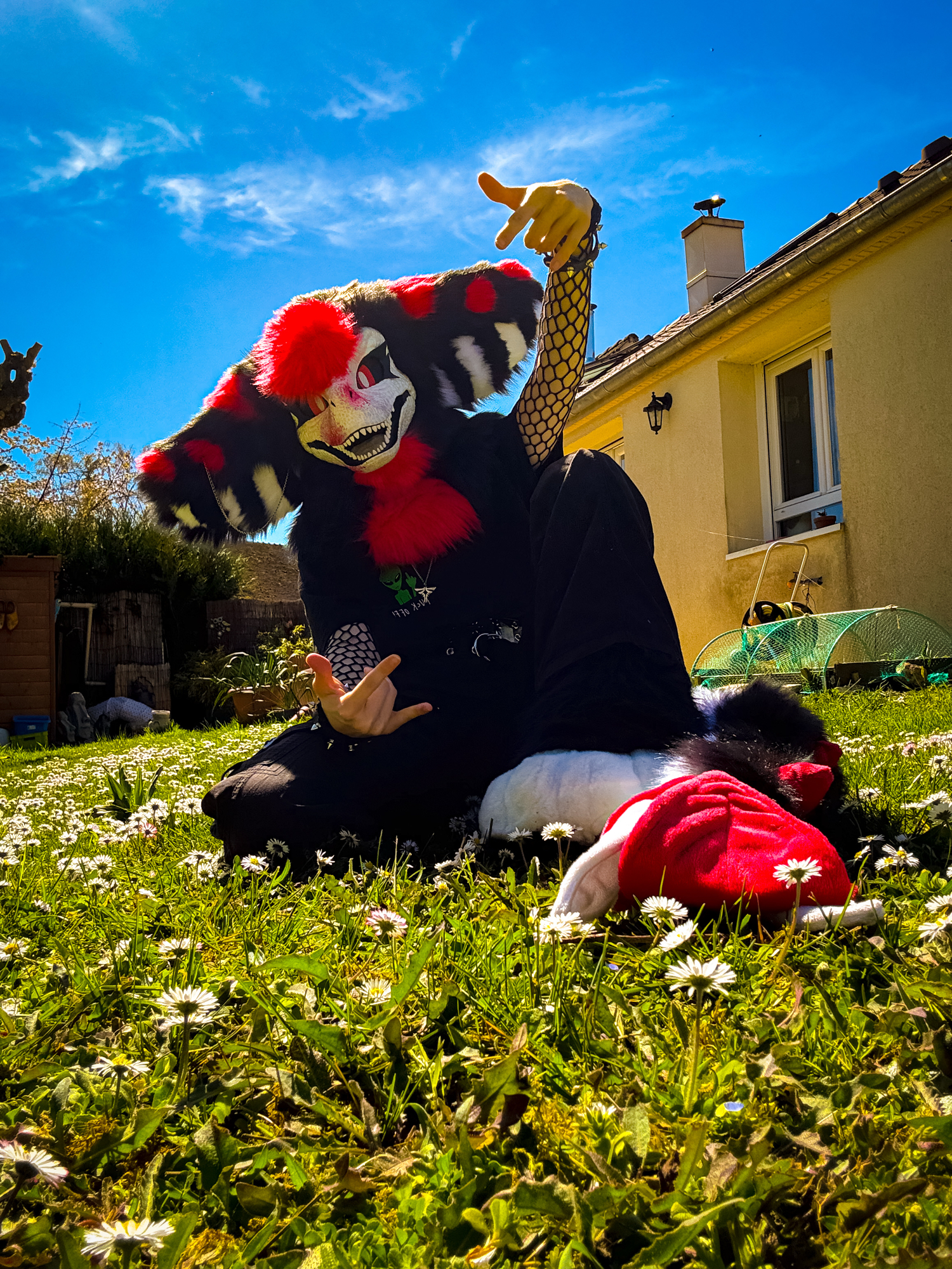 Dexter — photo 17
