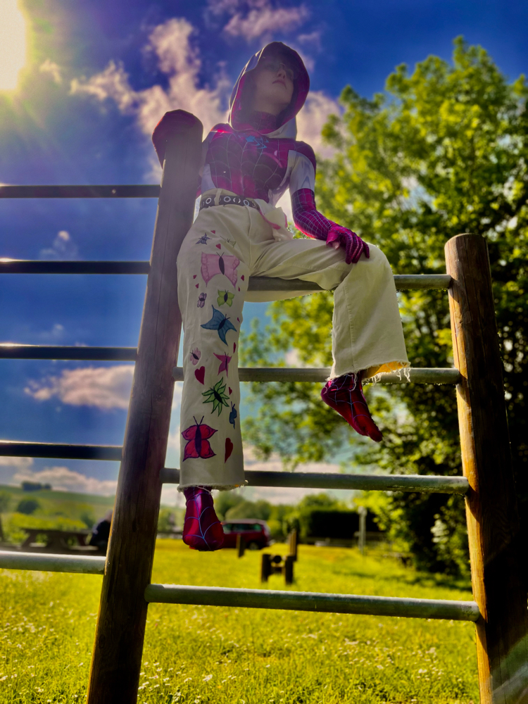 Spider butterfly  - Photo 13