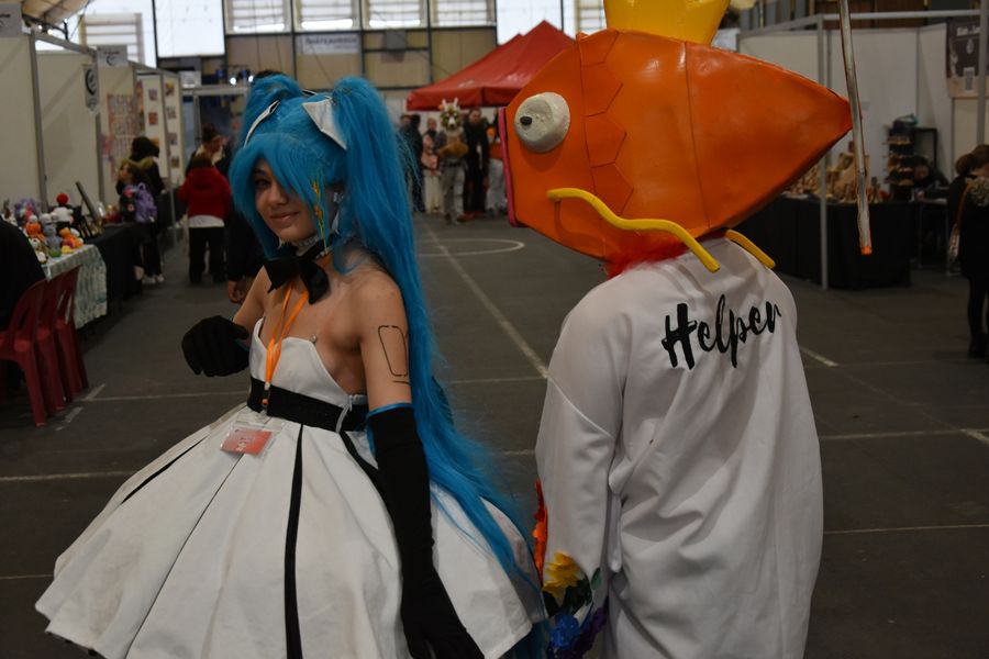 Phoenixas - Japan Chateauroux 1