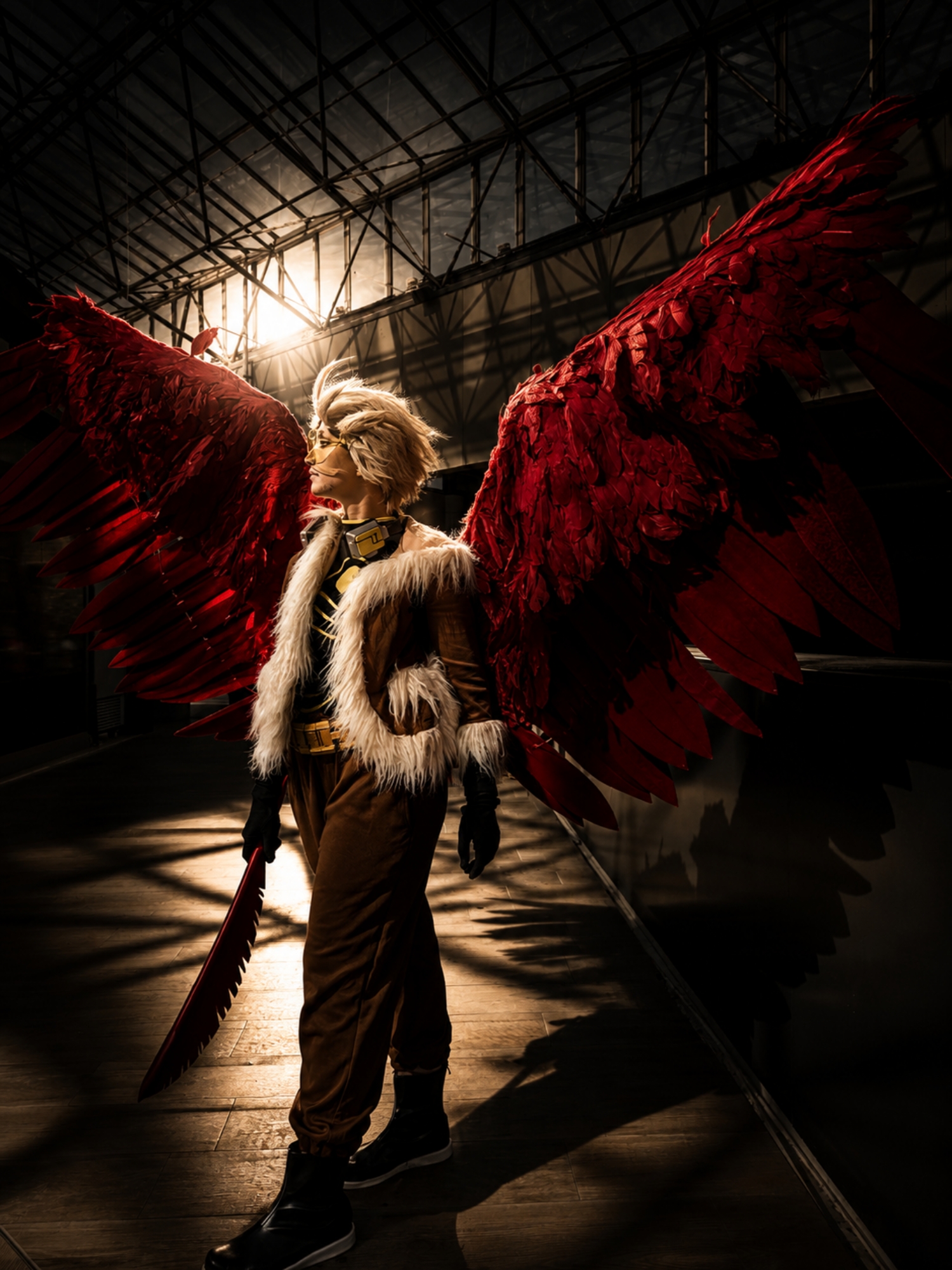 Hawks — photo 186
