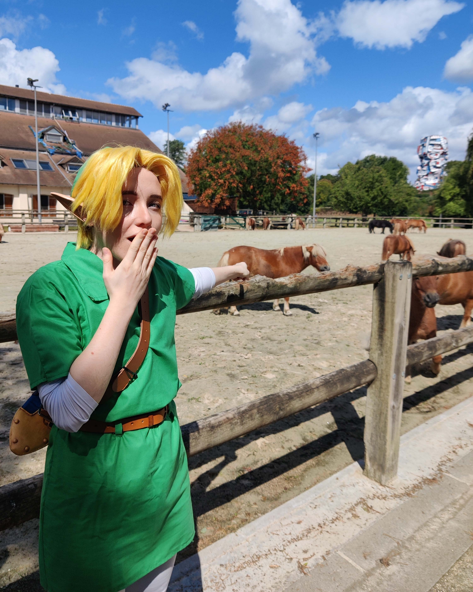 Link Lon lon - Photo 4