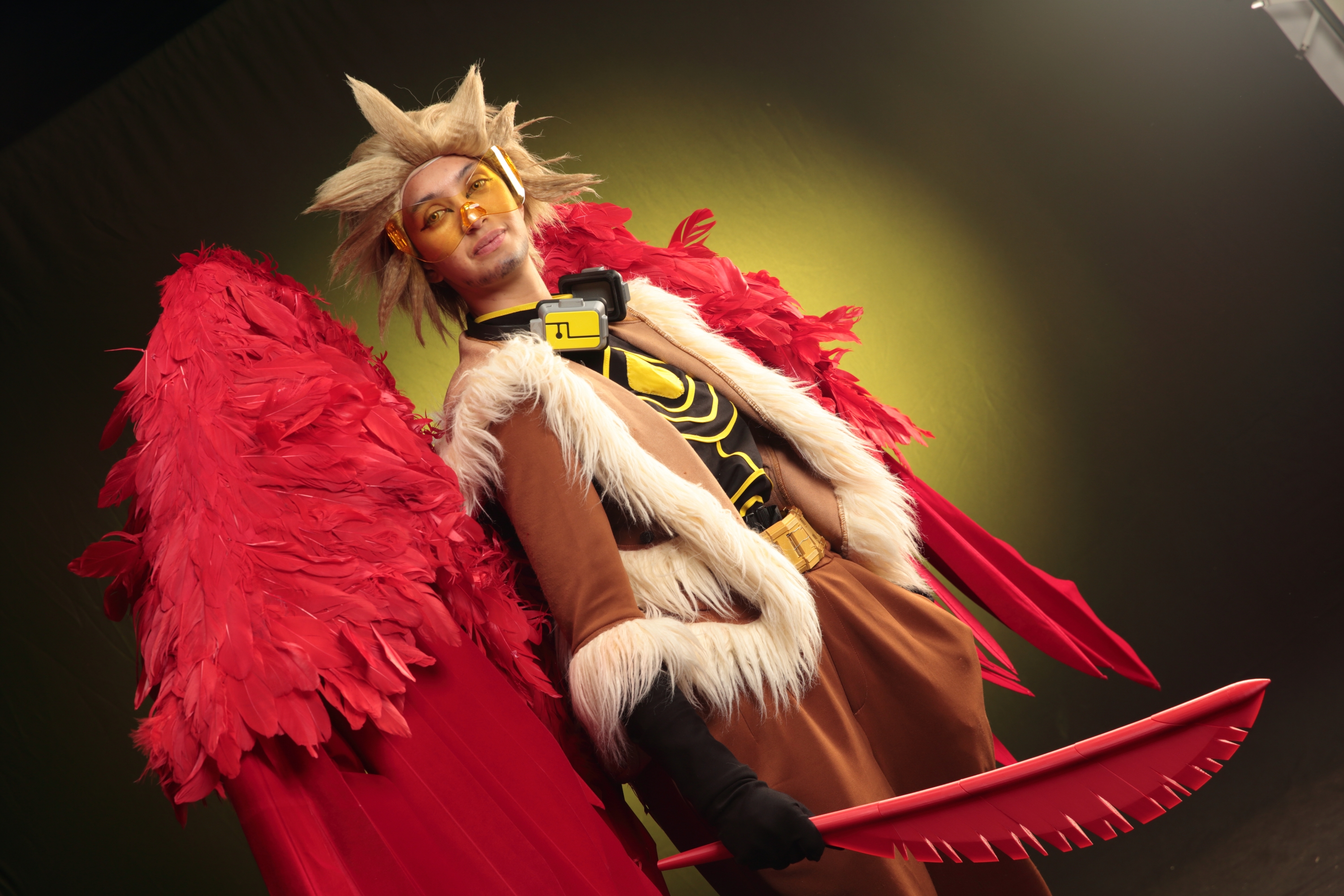 Hawks — photo 183
