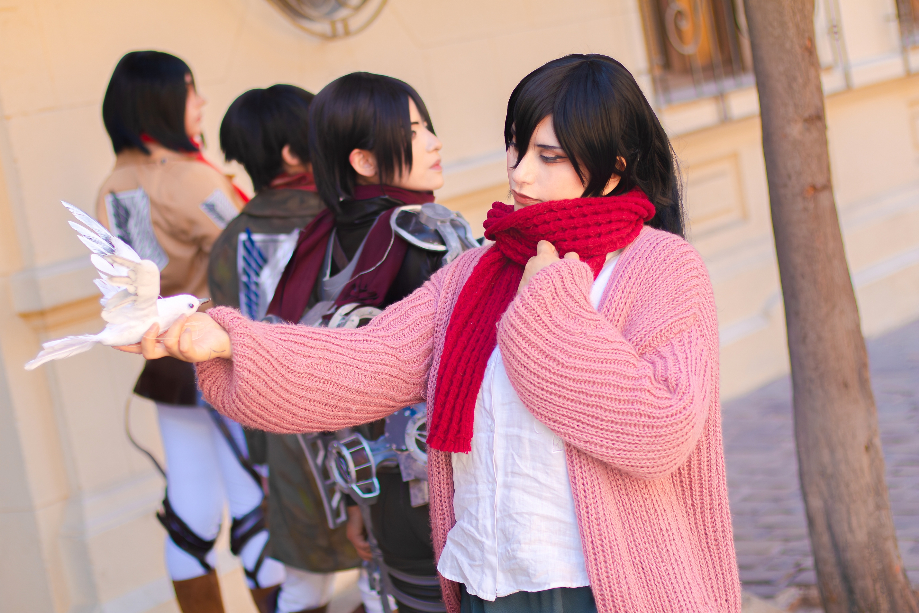 Mikasa final — photo 6