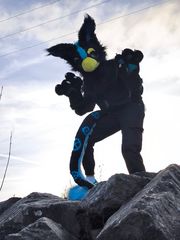 Rocky preview 2