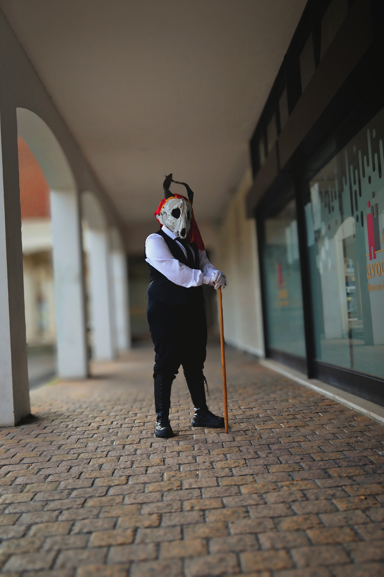 Elias — photo 15