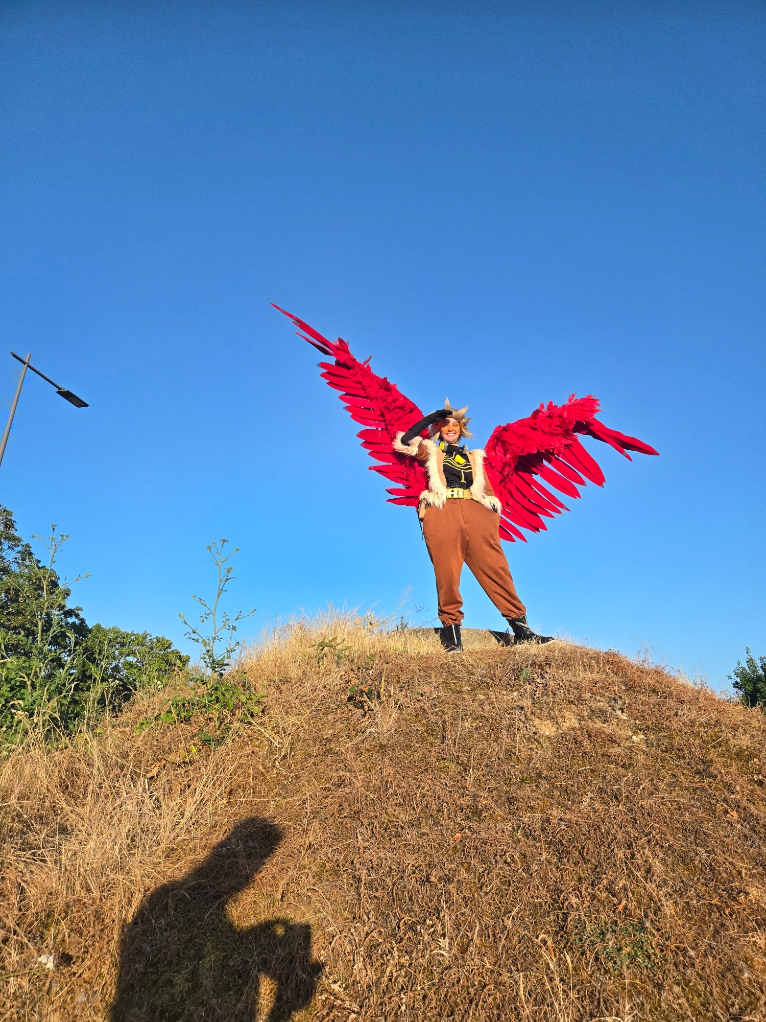 Hawks — photo 51
