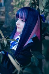 Stocking Anarchy preview 3