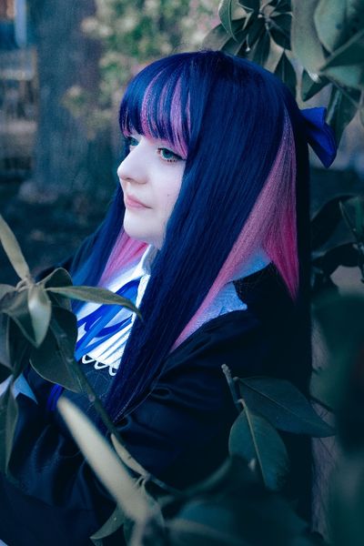 Nekoluna_ - Stocking Anarchy