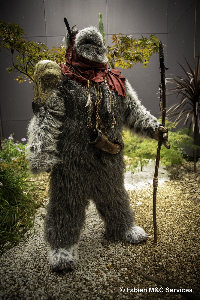 Un Ewok à Vitrolles