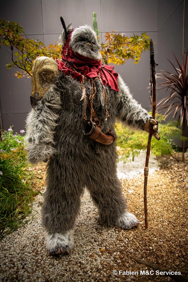 Utinni – Un Ewok à Vitrolles