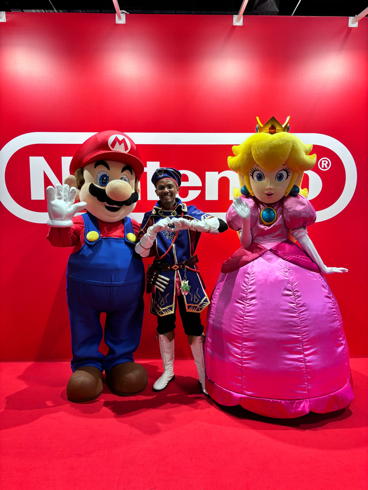 Link royal guard - Photo 9