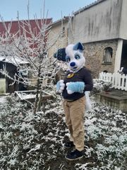 Neige preview 2
