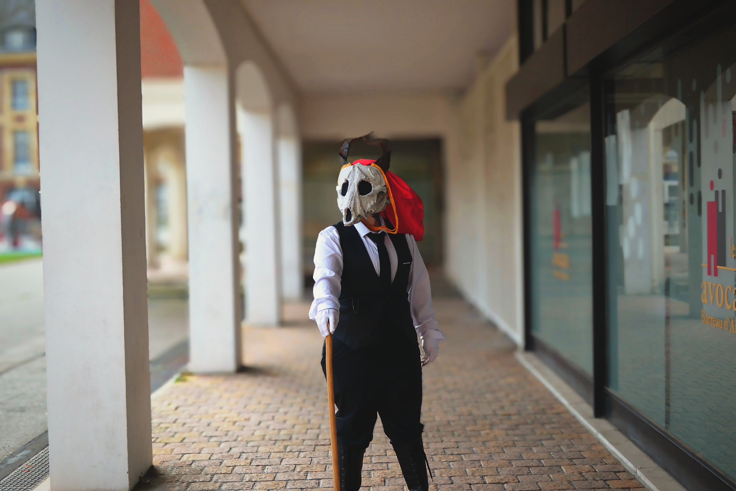 Elias — photo 14