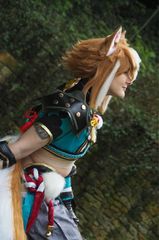 Gorou preview 3