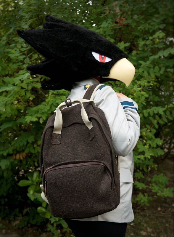 Thehedgehogmaniac – MHA school shoot