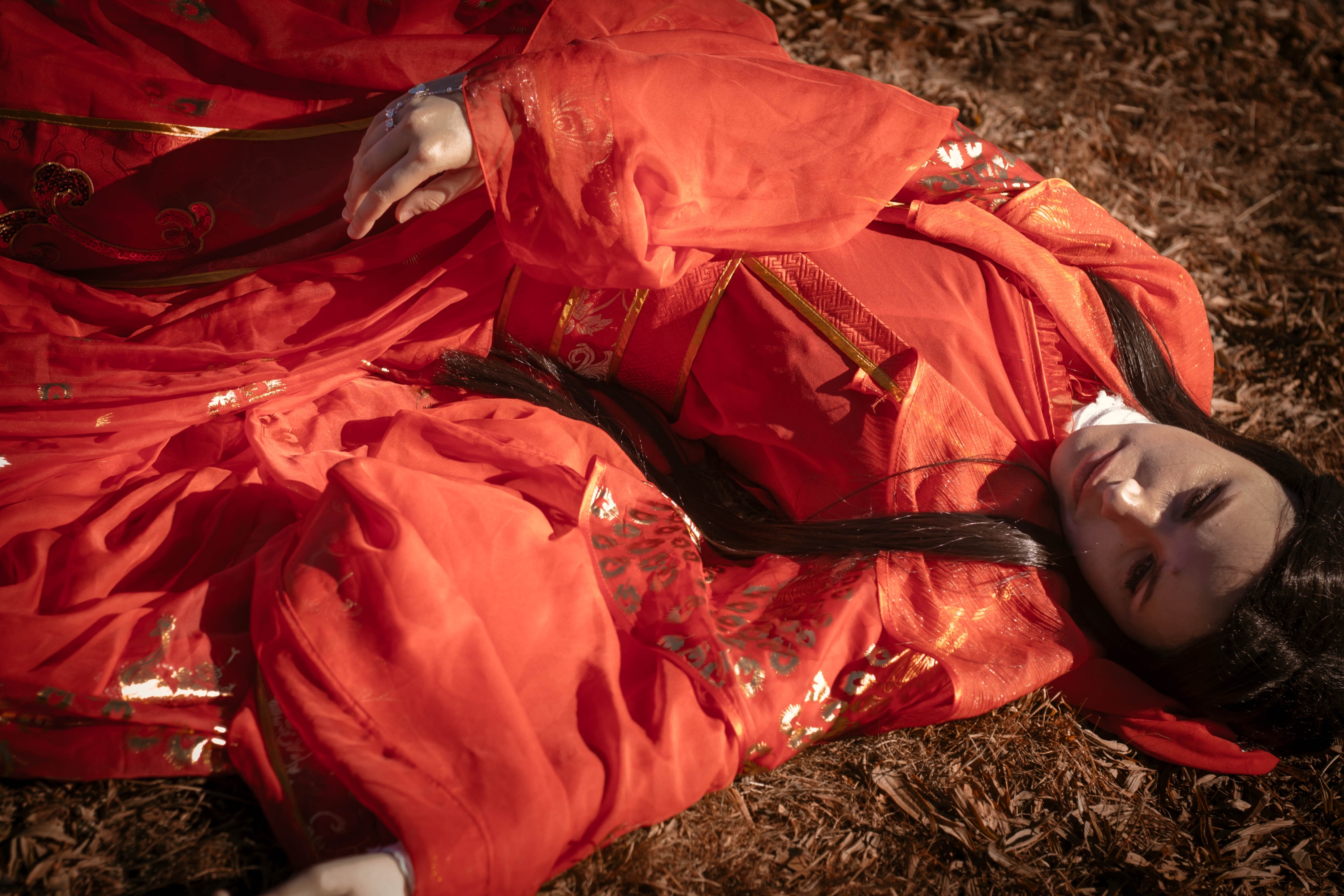 Animasia 25 - Photo 3