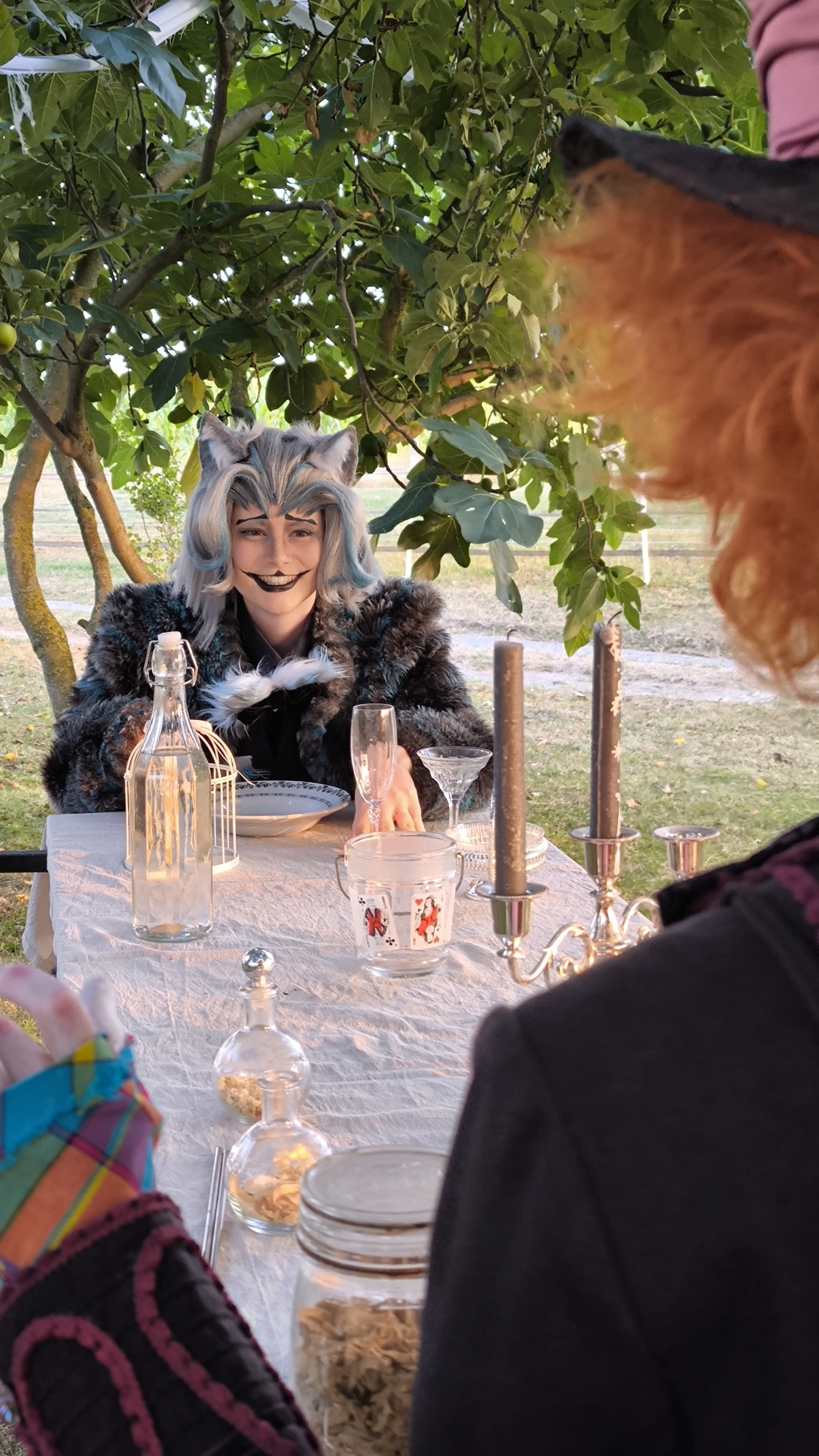 Chapelier/Cheshire - Photo 4