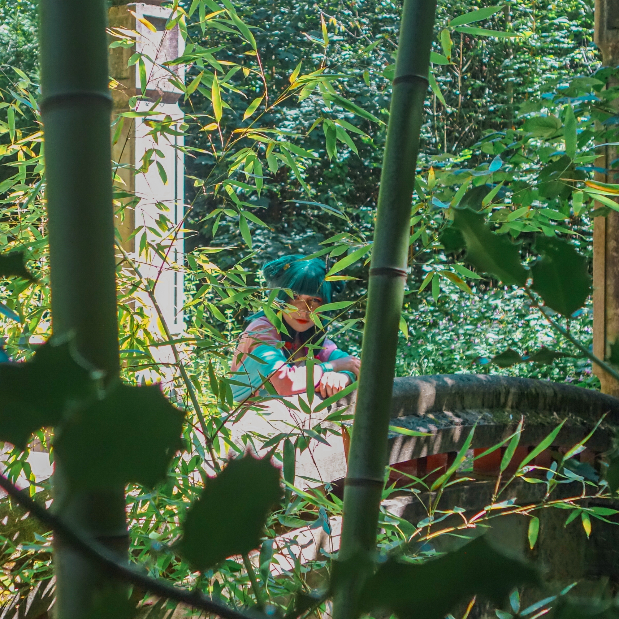 Maomao Garden party - Photo 3