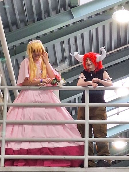 Pangofan - Bowser/Peach