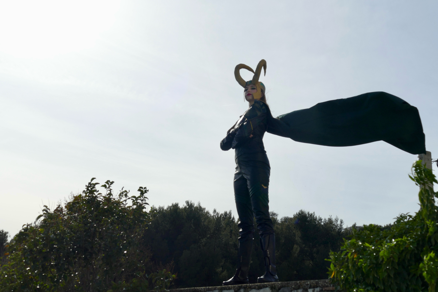 Loki — photo 22