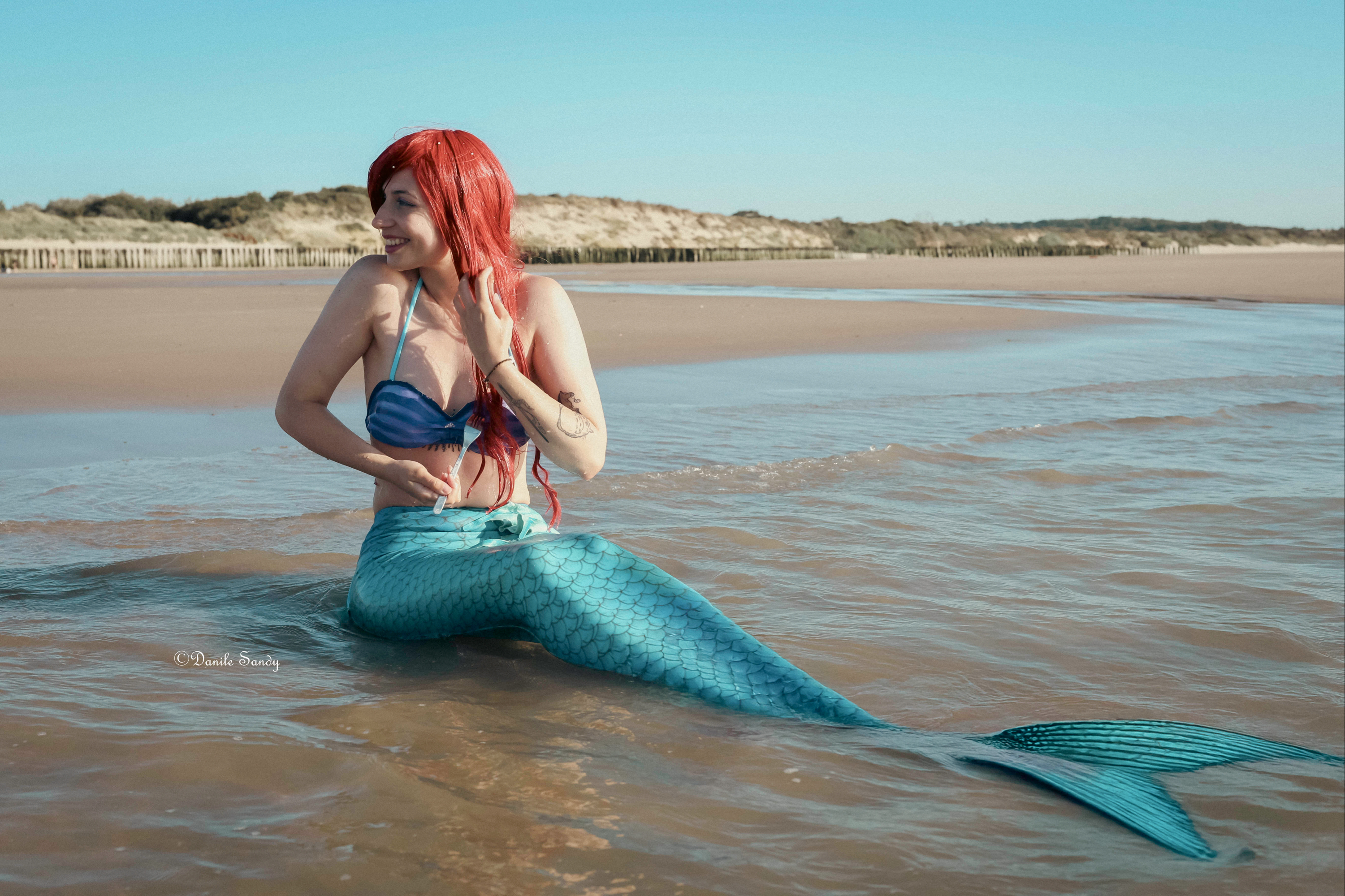 Ariel — photo 5