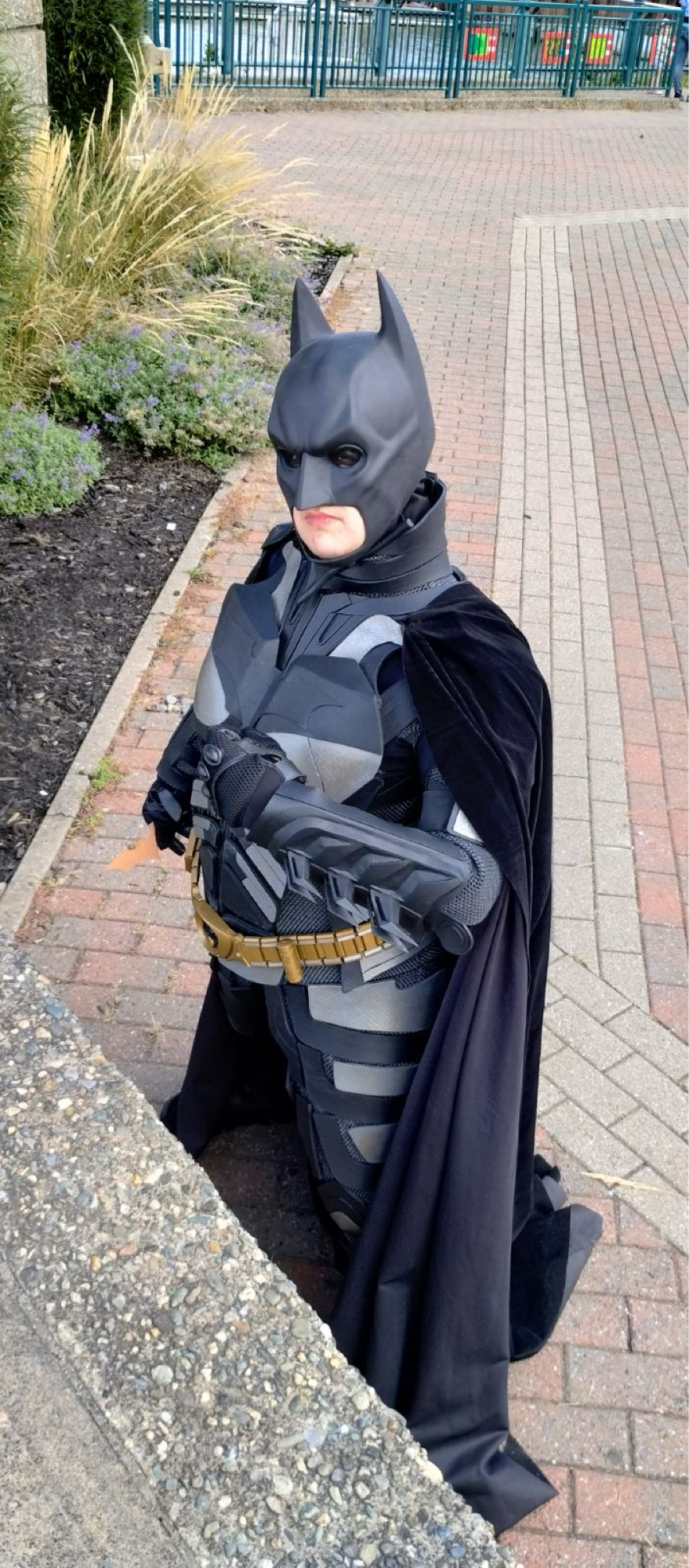 Batman TDK — photo 14