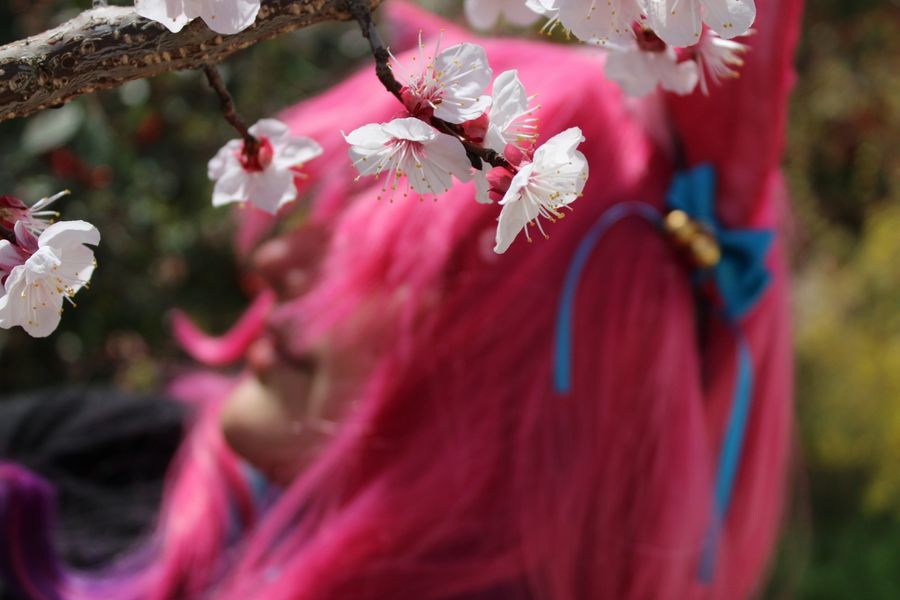 Angeee - Ahri spirit blossom