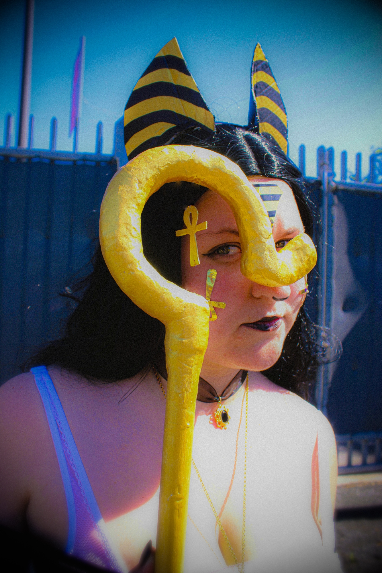 Anubis — photo 13